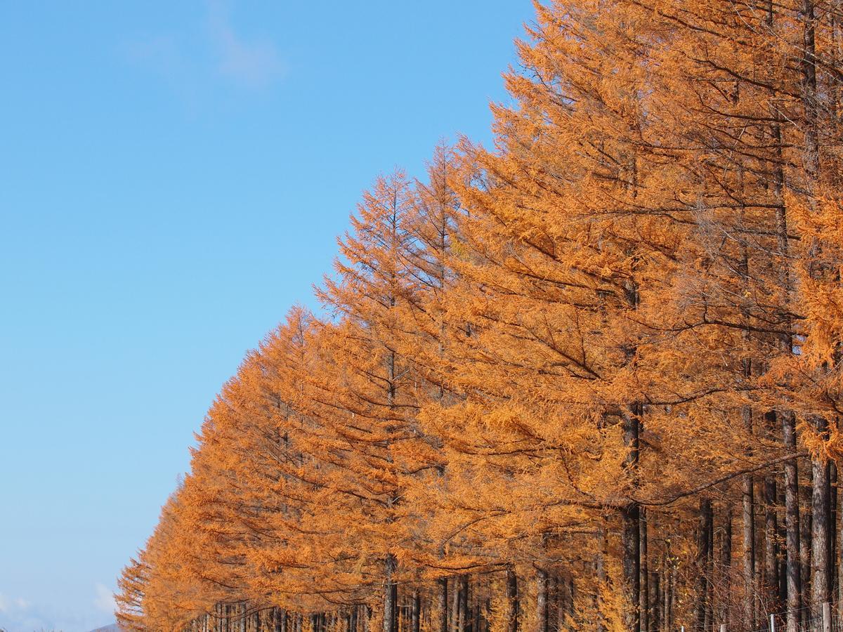 Log Hotel Larch Lake Kanayama Minamifurano Bagian luar foto